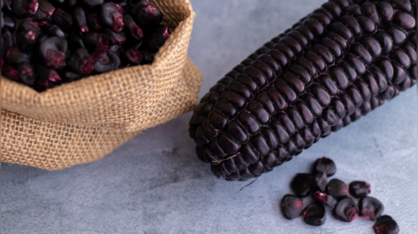 Purple corn