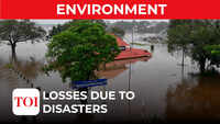 Have catastrophes been milder in 2022?