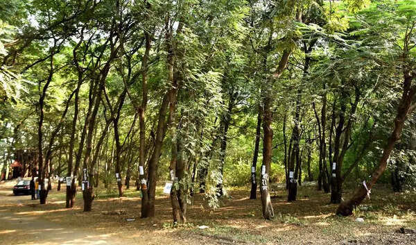 Greens urge CM to develop meditation centre at Tapovan on lines of Hyderabad’s Shanti Van