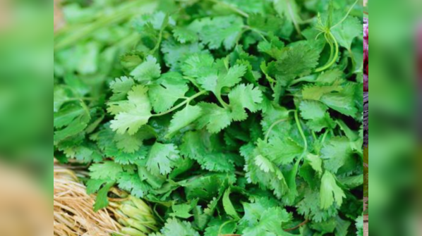 Coriander leaves
