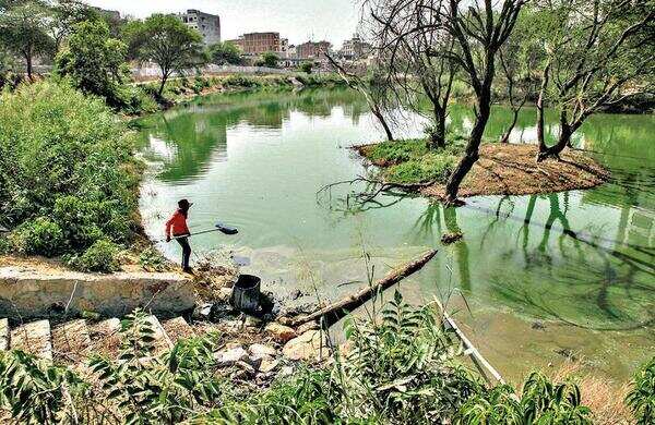 Gurugram: Clean-up done over 2 years, Sikanderpur lake set to open