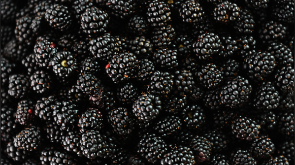 Blackberries