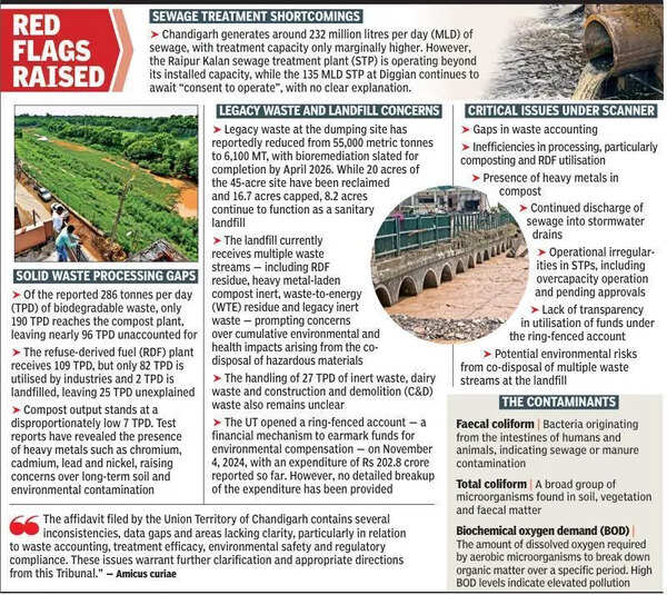 All’s not well; NGT amicus flags pollution in Chandigarh drains