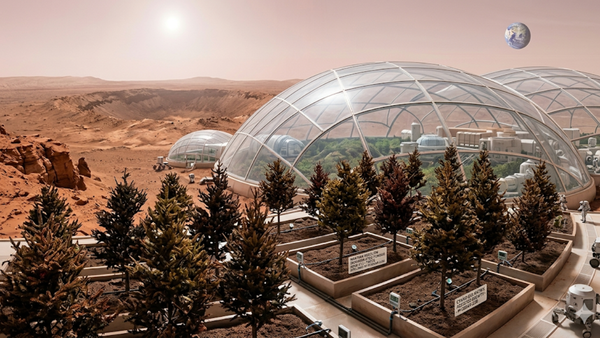 Could this fungus turn Mars into farmland? Scientists say it might make Martian soil fertile
