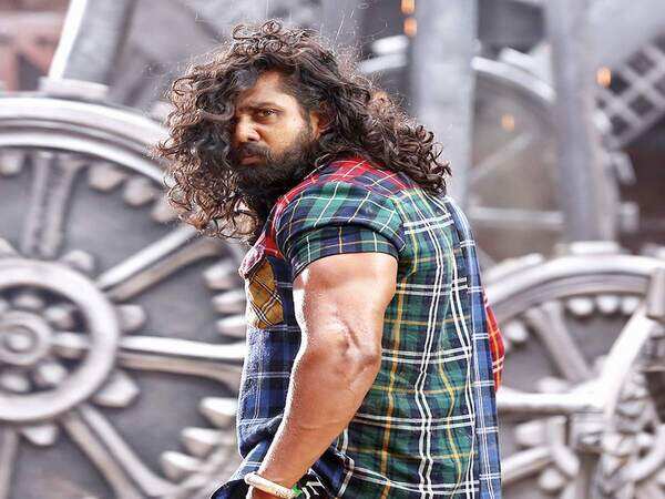 Pogaru is 65% emotions, 15% action and 20% other entertainment: Dhruva Sarja