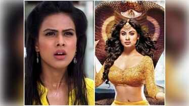 Roshni in Jamai Raja, Shivangi in Naagin 2: 5 worst characters of ...