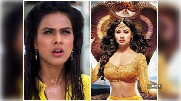 Roshni in Jamai Raja, Shivangi in Naagin 2: 5 worst characters of Indian television