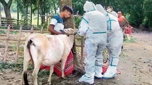3 die in West Bengal village after consuming dead goat meat, state sends team of experts to probe anthrax angle