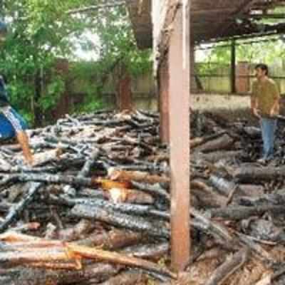 Fire breaks out at Belapur crematorium, 15 tonne firewood stock turn to ash