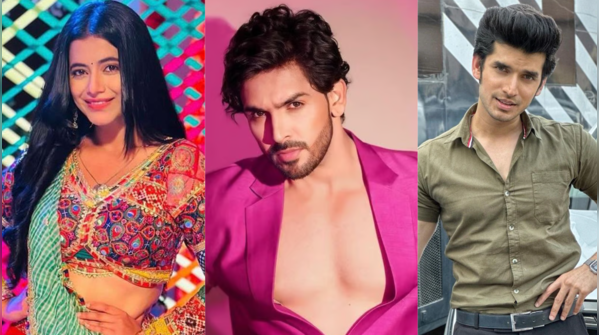 ​Alisha Parveen, Shehzada Dhami to Paras Kalnawat; Celebs who made controversial exit from hit shows