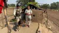 Bandhavgarh range officer honoured for bravery after Tiger attack