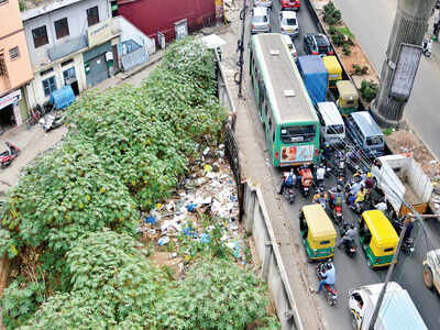 BMRCL has let its empty plots go to the weeds