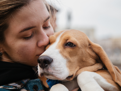 why should you not kiss your dog