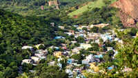 Chennai: 'Alien' species threaten native flora of Tirusulam Hills, if left unchecked can alter its ecosystem 