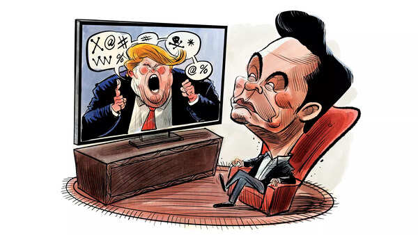 Trump-Musk feud holds mirror to America’s future
