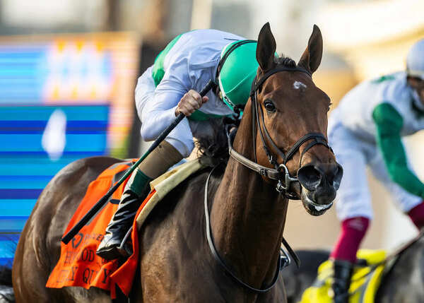 Pesi Shroff schooled Fynbos tipped for victory in 1000 Guineas