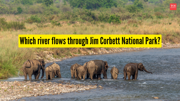 Which river flows through Jim Corbett National Park?