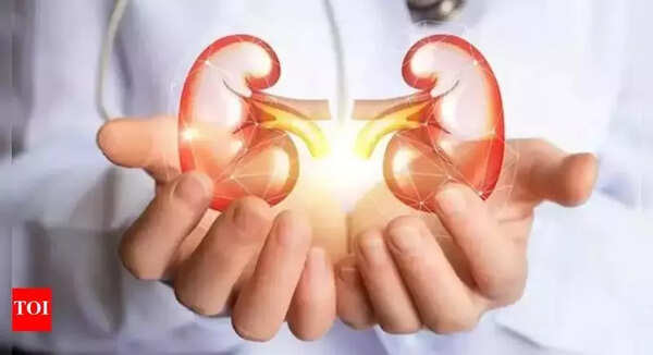 History of kidney rackets in Andhra Pradesh