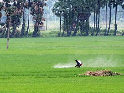 Pesticides and their effects