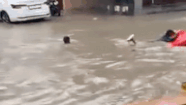 Gurgaon rain mayhem: Kids seen swimming in waterlogged street, locals sink in frustration; rue 'high living cost for worst infra'