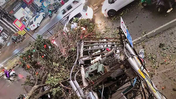 Strong winds and heavy rain uproot trees, Ranchi plunges into darkness