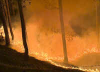 Forest dept braces for difficult 2027 fire period amid El Nino fears