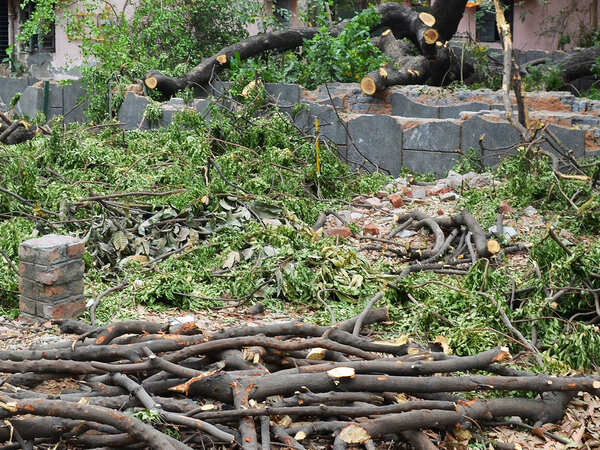 Government should have consulted us on redevelopment projects, say RWAs