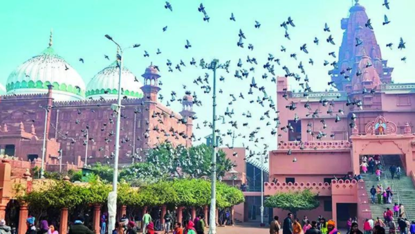 'It can’t have a dual character ... ': What Allahabad HC said on Mathura Eidgah case