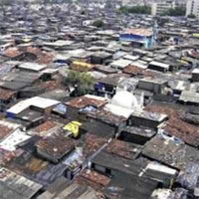 Government bids Dharavi for as low as Rs 2K per sq ft
