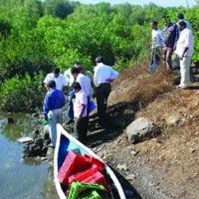 MPCB panel collects water samples of Ghansoli creek to check pollution levels