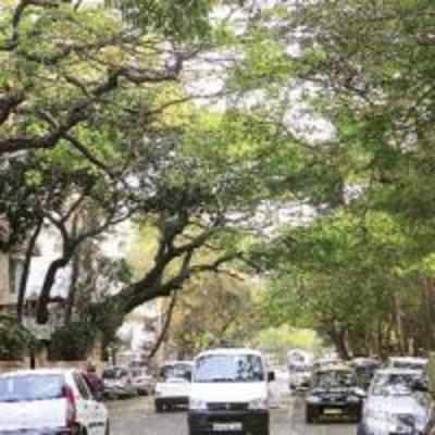 Good news for Vikhroli residents trying to save their green cover