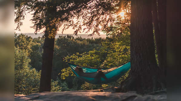 What is forest bathing (Shinrin-Yoku)?