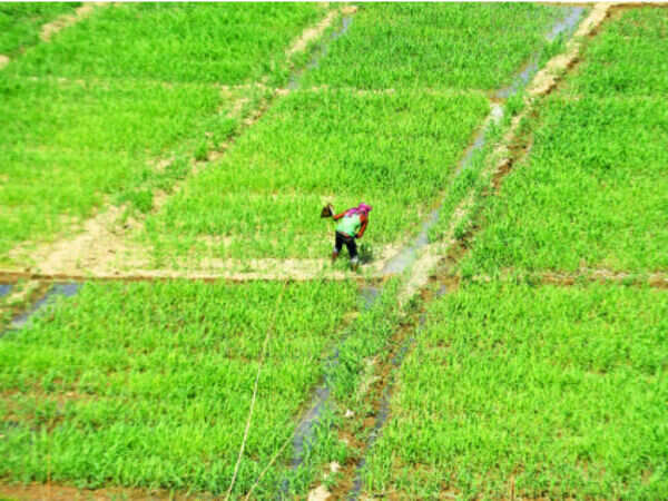 India uses up more groundwater than US and China