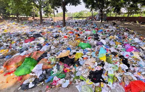 Punjab’s affidavit on waste management ‘deficient in substance’, amicus tells NGT