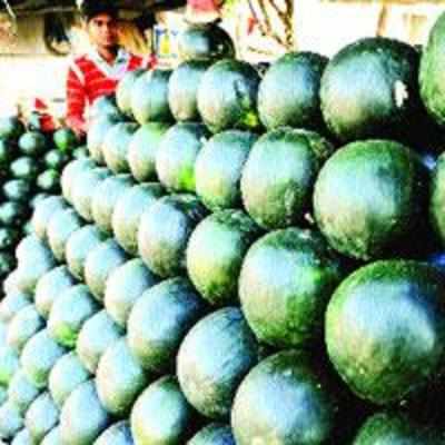 Melons to beat summer blues