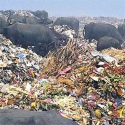 BMC mulls record Rs 704 cr contract to close part of Deonar dump yard