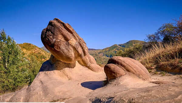 These ‘living’ rocks in Romania can grow and give birth to new stones