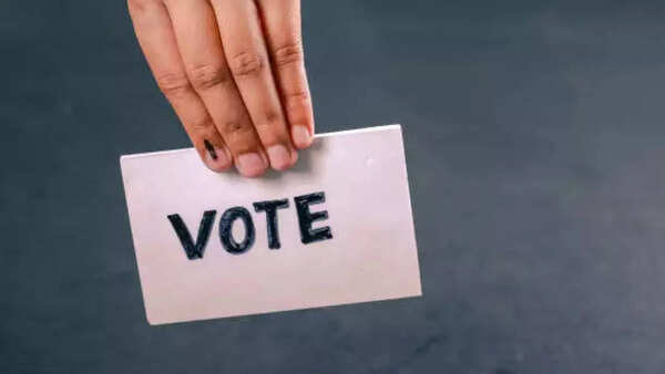 Day after voter list release, central boots to be on ground in Bengal