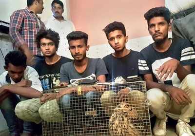 Bengaluru: Case against techie for pulling an owl out of his hat