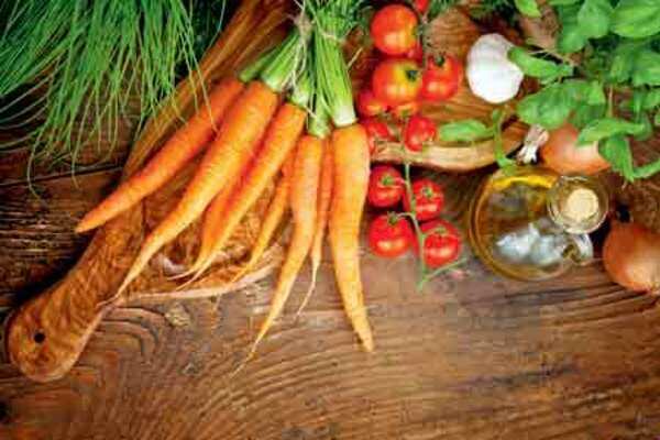 Gurgaon has everything organic on its plate