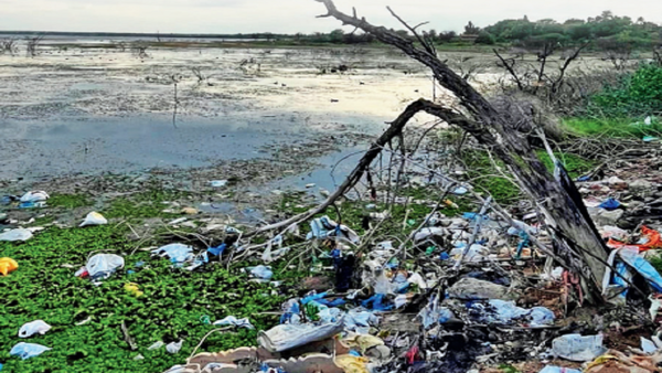 Neglected & polluted: Gandipet lake turns garbage dumping site