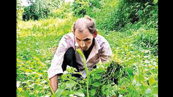Blind cricketer Bhalaji Damor gets job as GRD daily wage worker