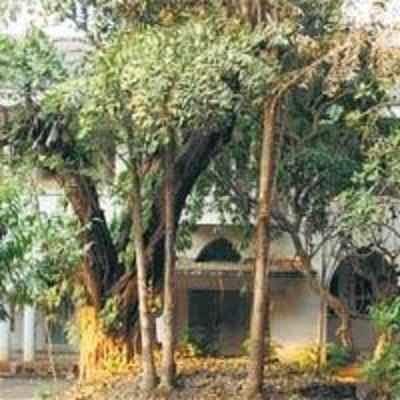 Now, Jinnah's nephew stakes claim over his city bungalow