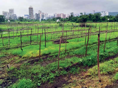 New judge for Kharghar land deal inquiry