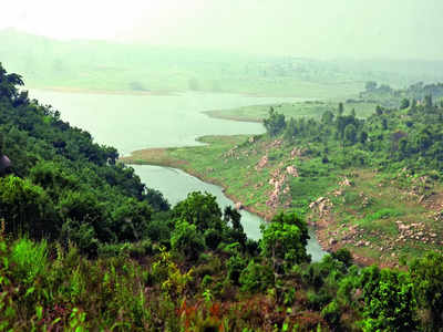 Arkavathi stretch at TG Halli Reservoir hits pollution rock-bottom