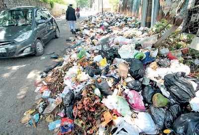 Ahead of Karnataka polls, garbage is up for grabs