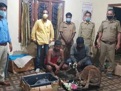 Assam: Illegal consignment of exotic wild animals and birds nabbed at Lailapur