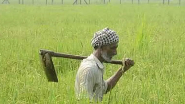 Maharashtra: 2,851 farmers ended lives in 2023 despite loan waivers, schemes