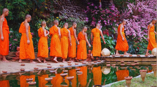 Monks in saffron robes