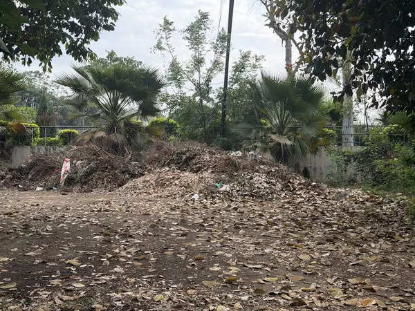 Organic waste goes up in flames, leaves Ludhiana breathless